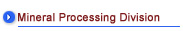 Mineral Processing Division